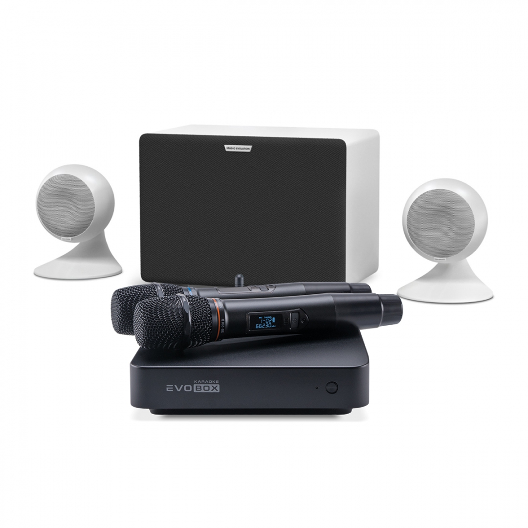 караоке-комплект EVOBOX Classic + EvoSound Sphere 2.1 в Брянске