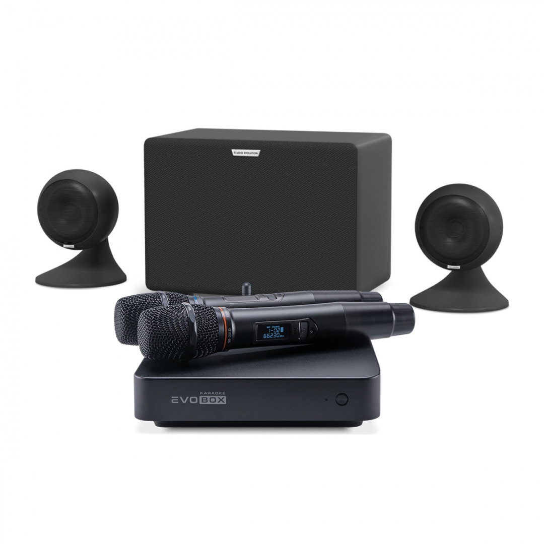 караоке-комплект EVOBOX Plus + EvoSound Sphere 2.1 в Брянске