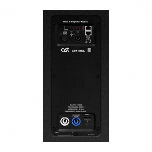 Активная акустическая система AST-310A в Брянске