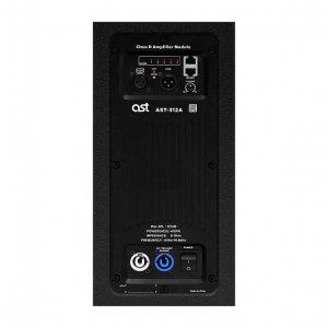 Активная акустическая система AST-312A в Брянске