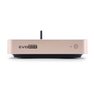 EVOBOX Classic караоке-система для дома в Брянске