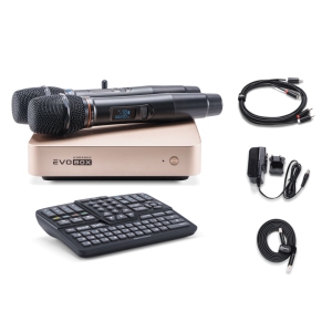 EVOBOX Classic караоке-система для дома в Брянске