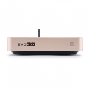 EVOBOX Plus караоке-система для дома в Брянске