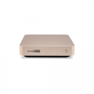 EVOBOX с микрофонами в Брянске