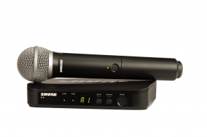SHURE BLX24E/PG58 M17 вокальная радиосистема в Брянске